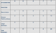 South Asia Intelligence Review