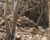 Pakistan confirms airstrikes in eastern Afghanistan, claims 26 militants killed
