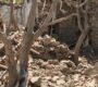 Pakistan confirms airstrikes in eastern Afghanistan, claims 26 militants killed