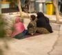 UNHCR: Iran deported over 492,000 Afghans this year